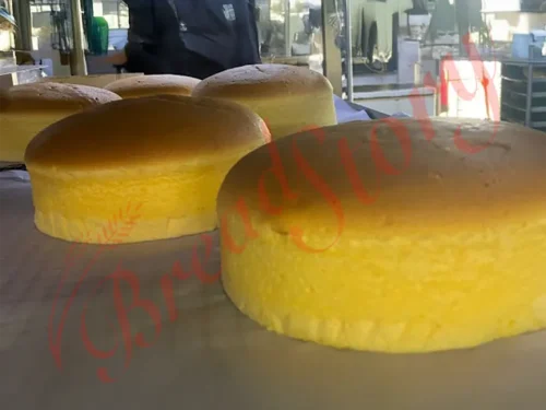 Cheese Cake